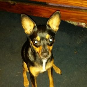 Meet your Posher, Cathy